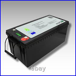 Batterie au Lithium 12v 200Ah LiFePO4 pour Système Solaire Caravane et Bateau EU